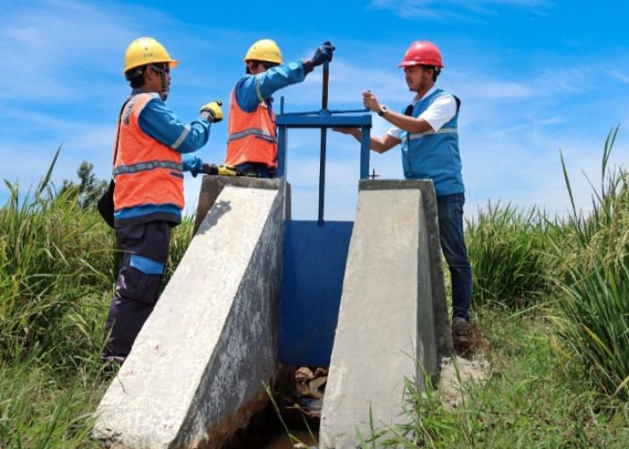 Inovasi Pertanian Berbasis Listrik: Electrifying Agriculture Hadir di Seluma Bengkulu