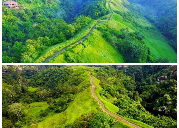 Menelusuri Sejarah Bukit Campuhan, Jejak Spiritual dan Keindahan Alam di Ubud