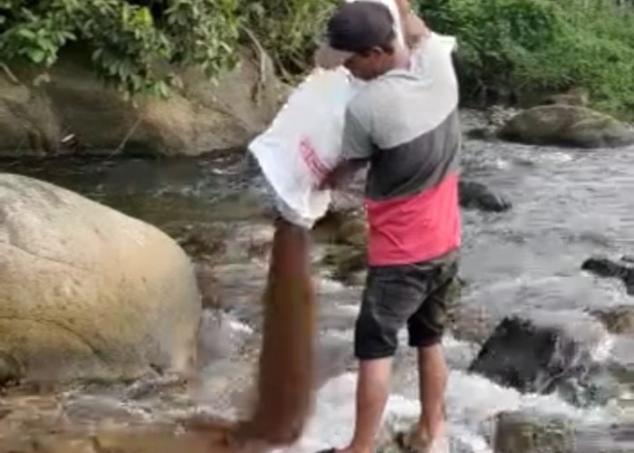 Mau Tau Apa Hukuman yang Dijatuhkan Pemdes Pandan Arang bagi Menangkap Ikan di Sungai Larangan Ayek Pangi