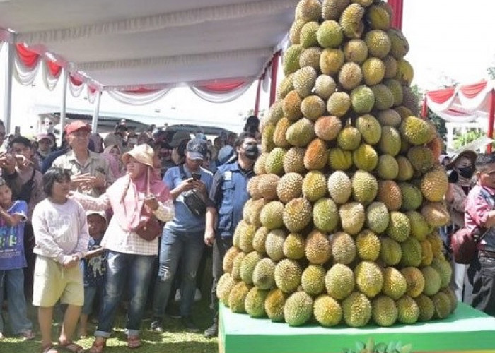 Festival Durian Muara Enim 2022