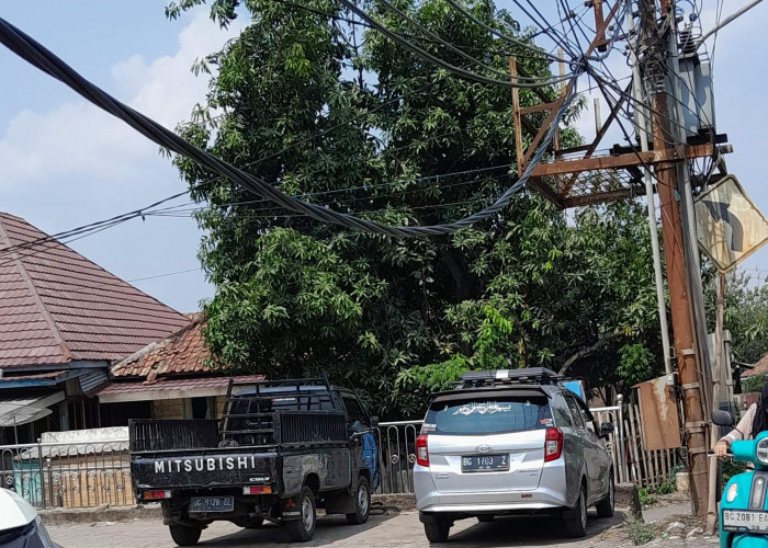 Hati-Hati Ya Jika Lewat, Ada Kabel Listrik Terjuntai Cukup Rendah di Pinggir Jalan Lintas Sumatera