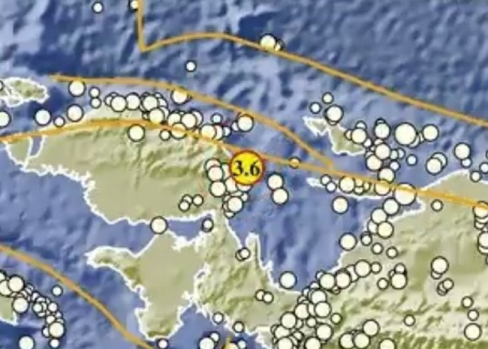 Gempa Bumi Semalam Terjadi Sebanyak 7 Kali