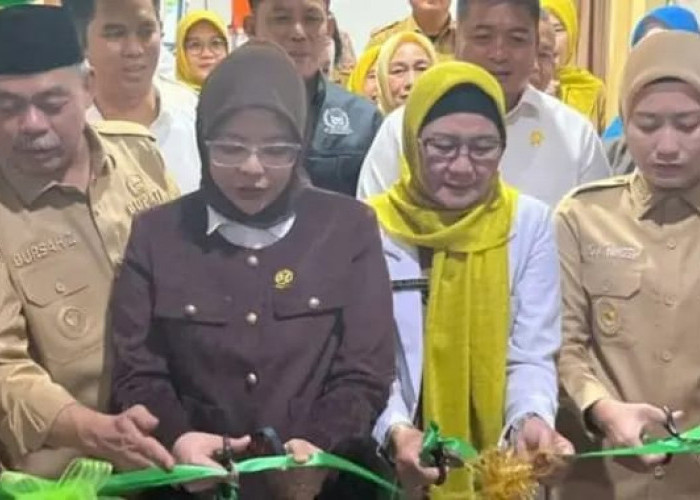 BZ-Widia Resmikan Layanan Cuci Darah RSUD Lahat: Antrean Pasien Bakal Dipangkas