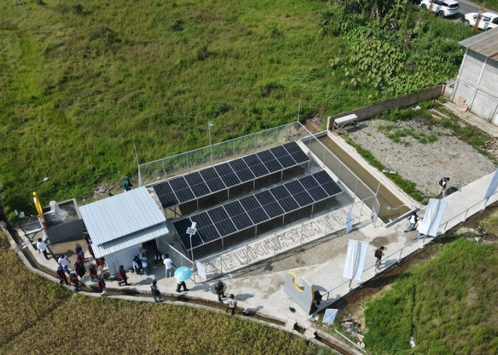 Perkuat Ketahanan Pangan, PTBA Hadirkan Dua PLTS Irigasi untuk Petani Muara Enim