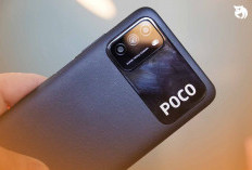 Wow Mantap, 4 HP Gaming Terbaik di 2026, Dari Murah Hingga Kelas Premium