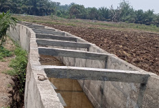 Proyek Irigasi Ataran Bemban Lahat Rp3 Miliar Disorot, Ketebalan Lantai Diduga Tak Sesuai Spesifikasi