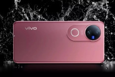 6 HP Vivo Harga 2 Jutaan Punya Kamera Bagus 2026, Jangan Remehkan Performanya Bosku!