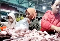 Harga Ayam Potong Mulai Naik Saat Ramadhan, Sentuh Rp36 Ribu per Kilogram