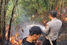 Polsek Kota Agung Bersama Personel dan Damkar Padamkan Karhutla di Desa Dingin Lama