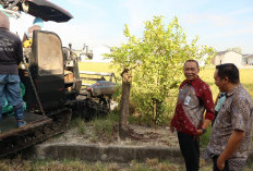 Warga Binaan Rutan Sidrap Panen 1.076 Kg Padi di Lahan SAE, Dukung Ketahanan Pangan