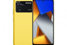 Content Creator, TikTok, YouTube, Selebgram Merapat! Ini Rekomendasi HP yang Cocok untuk Kalian