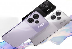 Wow! Daftar Harga Terbaru HP Xiaomi dan POCO Februari 2026