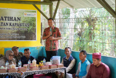 EcoGrow Mom Jadi Langkah PTBA Wujudkan Perempuan Tani Berdaya dan Sejahtera