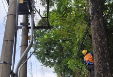  Kolaborasi Program ROW, PLN ULP Lembayung dan DLH Lahat Jaga Listrik Tetap Menyala