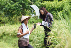 BRI Salurkan KUR Rp178,08 Triliun Sepanjang 2025, Lebih 60% Mengalir Sektor Produksi Penggerak Ekonomi Rakyat