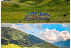 Bukit Teletubbies, Pesona Perbukitan Hijau yang Bikin Wisatawan Terpukau