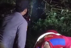 Rumpun Bambu di Desa Penantian Lahat Terbakar, Polsek Jarai Langsung Tanggap Padamkan Api