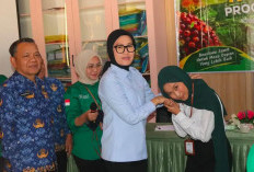 Wabup Widia Ningsih Lepas 35 Mahasiswa Penerima Beasiswa Sawit 2026, Minta Jaga Nama Baik Daerah