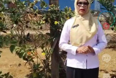 Miris! di Tengah Program “Menata Kota, Membangun Desa”, SD Negeri 12 Kota Agung Belum Tersentuh Pembangunan