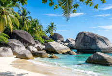 Pantai Tanjung Tinggi Belitung Memikat Wisatawan dengan Batu Granit Raksasa dan Air Laut Jernih