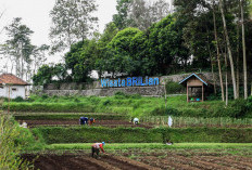 Konsisten Dorong Kemajuan Ekonomi Desa, BRI Raih Penghargaan pada Puncak Hari Desa Nasional 2026
