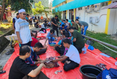 Meriahkan Idul Adha 1447 H, PLN UP3 Lahat Tebar Berkah 630 Paket Daging Kurban