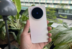 Daftar Harga HP Vivo dan iQOO Terbaru Februari 2026, Mulai Rp1 Jutaan