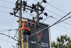 PLN ULP Baturaja Gerak Cepat Perbaiki Listrik Akibat Gangguan pada Peralatan Gardu