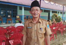 DLH Lahat Gencarkan Pemeliharaan Pohon Tua Milik Pemda, Bersihkan Gulma dan Parasit