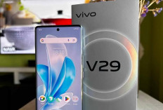 Ini 6 HP Vivo Harga 2 Jutaan Punya Kamera Bagus 2026, Jangan Remehkan Performanya Bosku!
