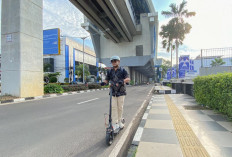 PLN UID S2JB Lanjutkan Gerakan Clean Energy Day, Dorong Gaya Hidup Listrik Para Pegawai