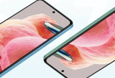 Wow! Gak Perlu Mahal, Deretan HP Berikut ini Punya Zoom Kamera diatas Rata – Rata