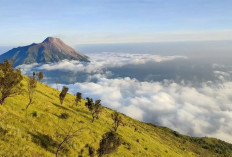 4 Rekomendasi Wisata Alam di Boyolali, Cocok untuk Healing dan Liburan Keluarga