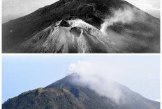 Gunung Welirang: Jejak Sejarah, Legenda, dan Pesona Alam Jawa Timur