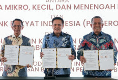 Beri Dukungan Pengusaha, BRI Jalin Kolaborasi BP Batam, BKPM dan Kementerian UMKM Perkuat Investasi Daerah