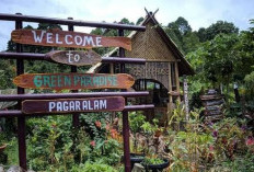 5 Wisata Terbaru Kota Pagaralam yang Wajib Dikunjungi Tahun 2026