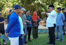 Bupati Lahat Bursah Zarnubi Ingin Menata Kawasan Megalit Usia Ribuan Tahun