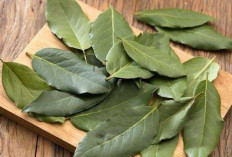 6 Rekomendasi Obat Herbal untuk Membantu Mengontrol Diabetes