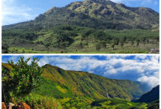 Sejarah Gunung Ungaran, Pesona Alam dan Jejak Masa Lalu di Jawa Tengah!
