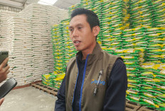 Jelang Idul Fitri 2026, Bulog Lahat Pastikan Stok Beras Aman