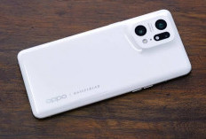 5 Rekomendasi HP Oppo Terbaru untuk Berbagai Kebutuhan Pengguna