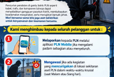 Tingkatkan Keandalan Layanan, PLN ULP Lembayung Intensifkan Pemeriksaan Gardu dan Sosialisasi PLN Mobile