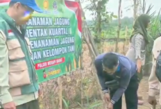 Polsek Merapi Tanam Jagung Serentak, Dukung Ketahanan Pangan Nasional