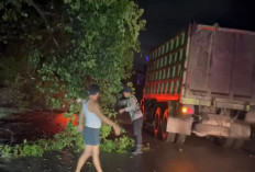 Polsek Merapi Barat Polres Lahat Sigap Tanggapi Dahan Pohon Roboh di Jalinsum Sirah Pulau