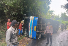 Diduga Rem Blong, Bus Manna-Palembang Terbalik di Lahat, Dua Orang Luka Berat