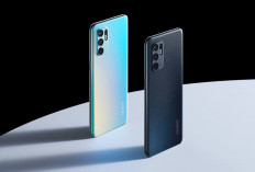 Mau Nonton Film Lebih Nyaman, Simak Rekomendasi HP Terbaru Dengan Layar Lebar 