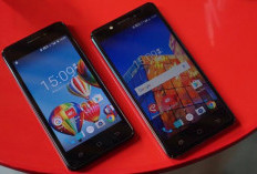 4 Rekomendasi HP Smartfren Terbaru yang Layak Digunakan