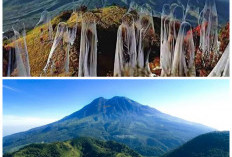 Sejarah Gunung Lawu, Gunung Sakral yang Menyimpan Jejak Kerajaan Jawa