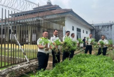 Lapas Kelas IIB Tanjungpandan Panen 60 Kilogram Kangkung, Dorong Kemandirian WBP