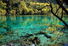 7 Rekomendasi Wisata Jambi yang Wajib Masuk Daftar Liburan Anda